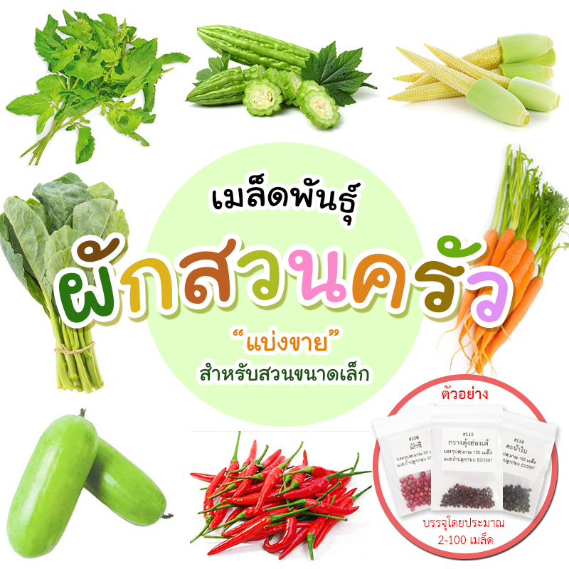 [ติดตามลด 20%] เมล็ดผักสวนครัว แบ่งขาย เหมาะสำหรับทดลองปลูกหรือสวนขนาดเล็ก