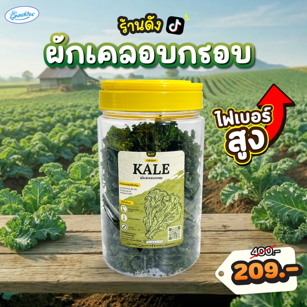 [เคลถัง] ผักเคลอบกรอบ ออร์แกนิก ไม่ทอด 1 ถัง