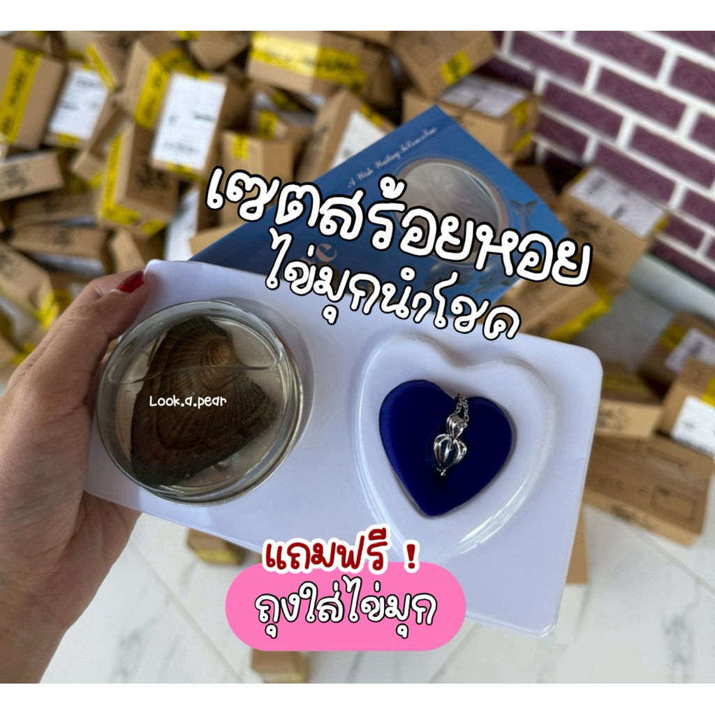 สร้อยหอยไข่มุกนำโชค